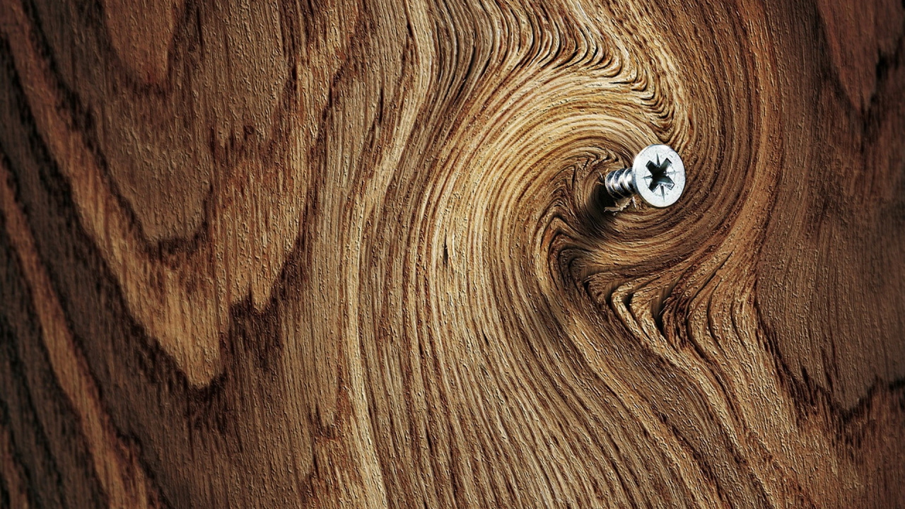 Саморез в доске