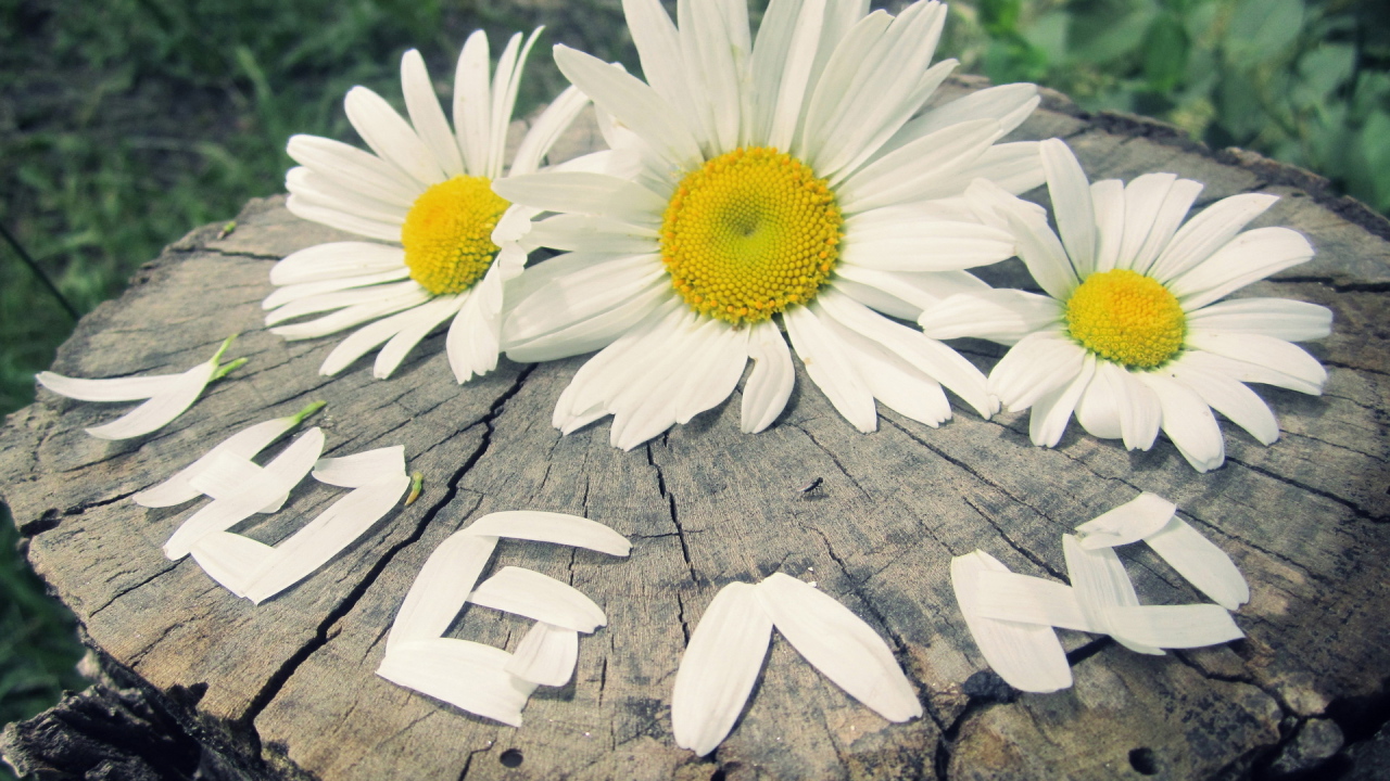 надпись Люблю