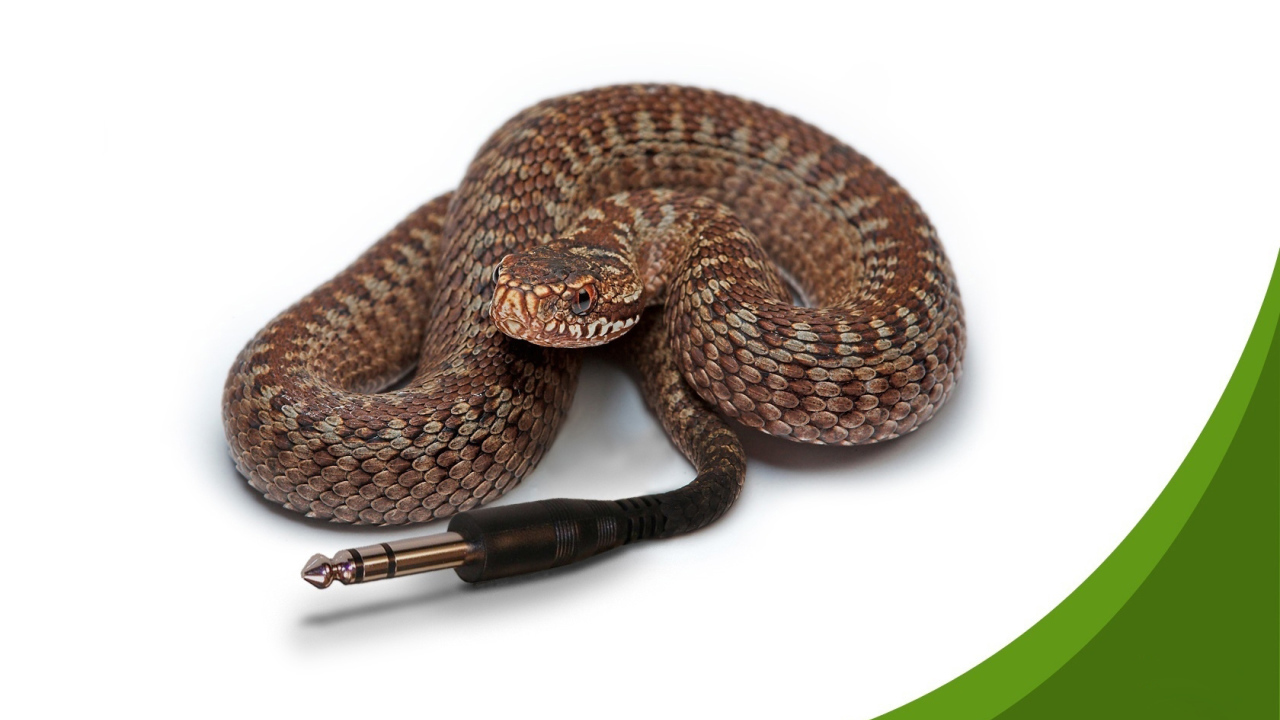 Компьютерная змейка