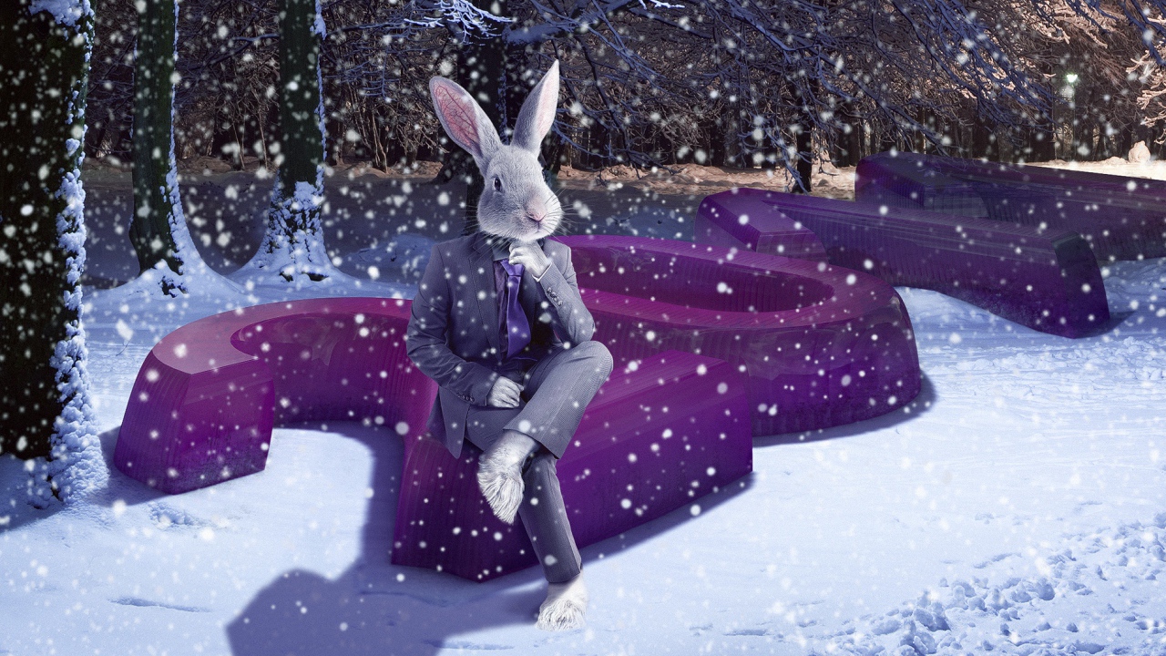 2011 Год зайца