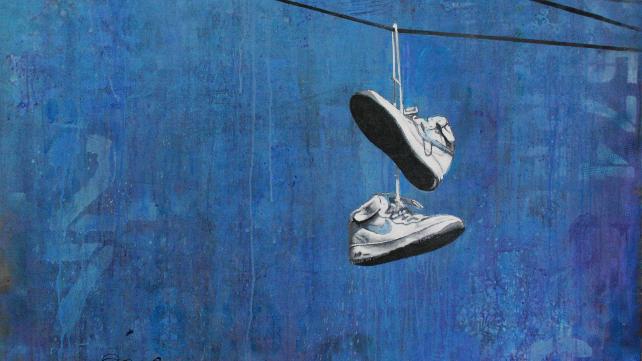 Сушка кроссовок