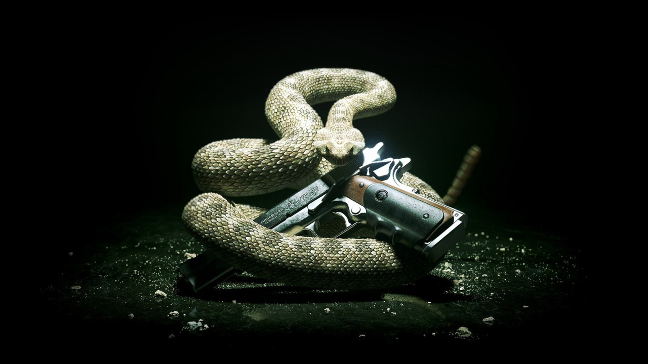 The snake and the gun