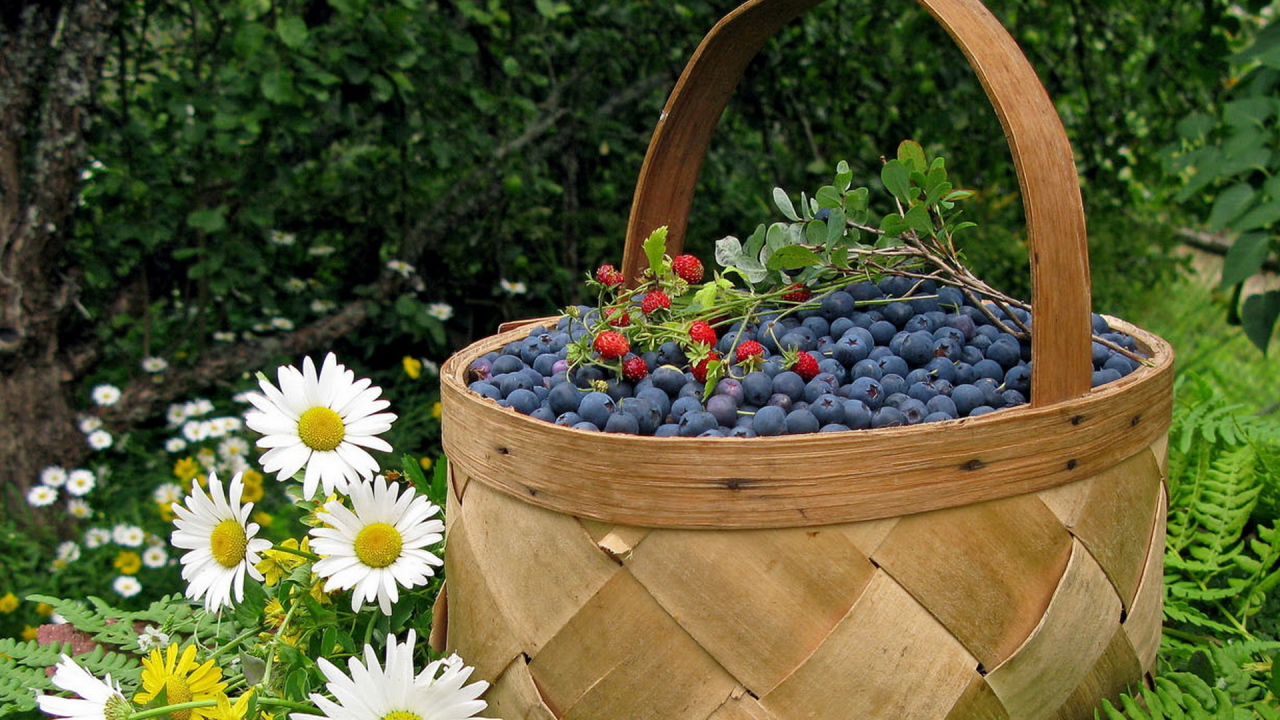 Корзина черники