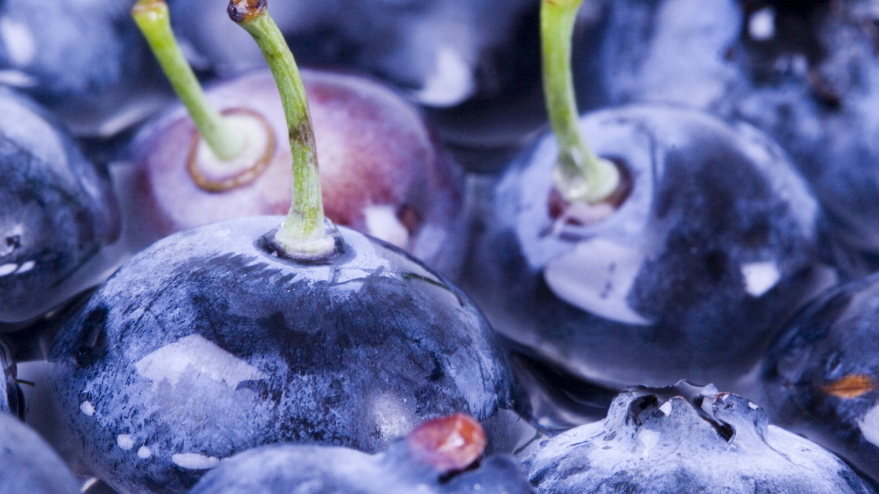 Ягоды черники