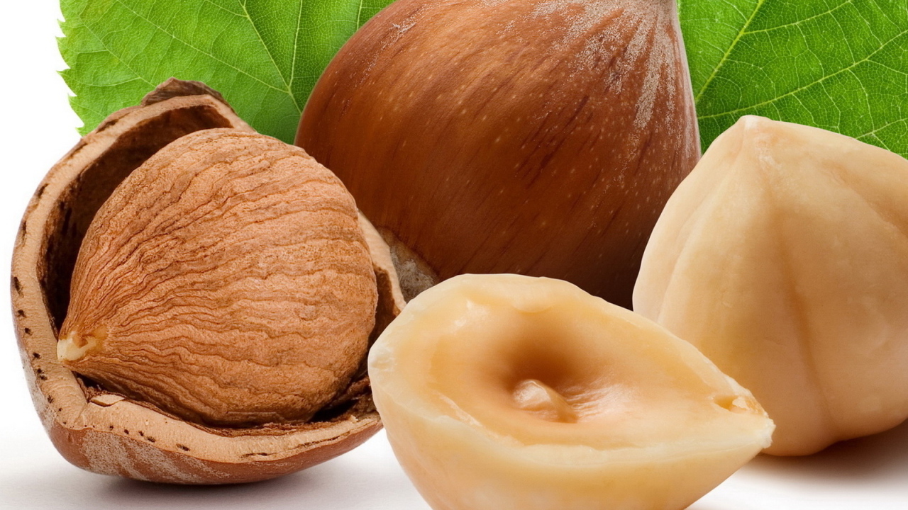 Лесные орехи