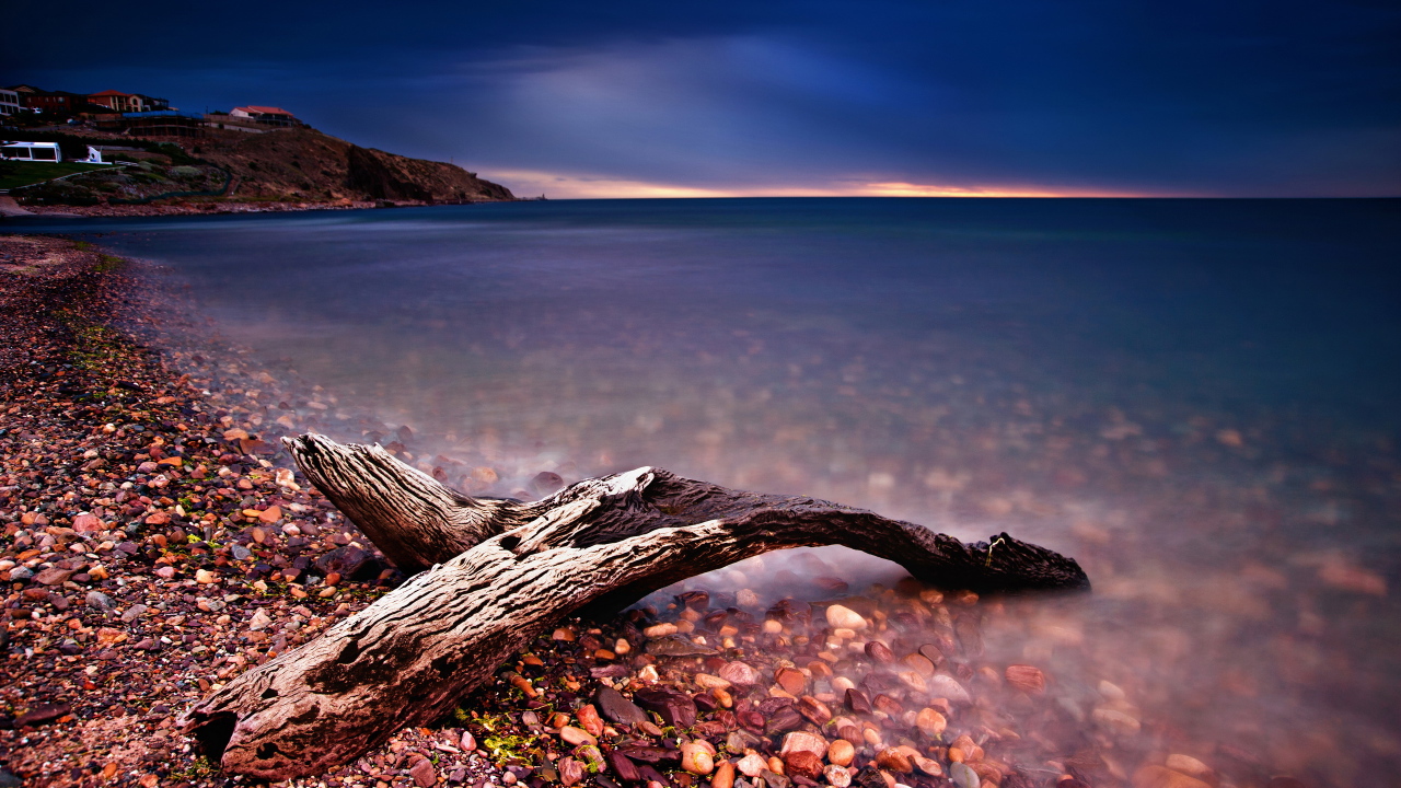 Коряга на берегу