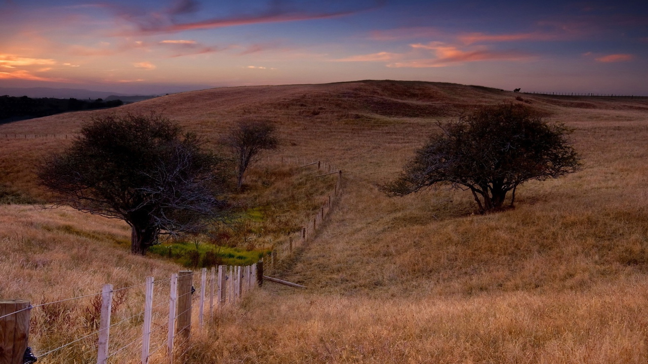 Поле и забор