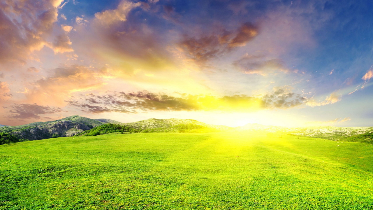 Зеленые луга