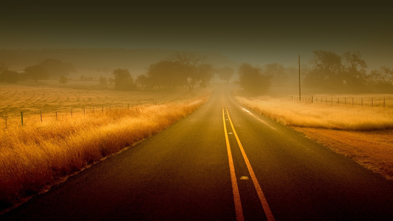 Дорога среди полей