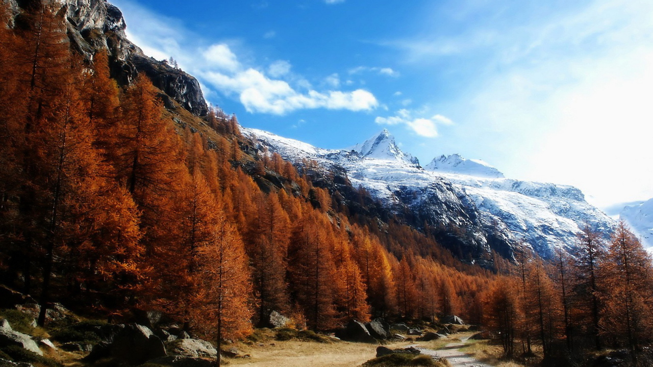 Высокогорный пейзаж