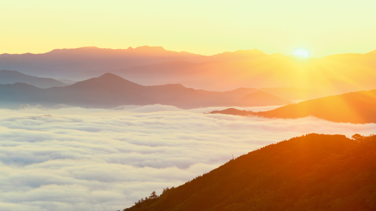 Густой туман