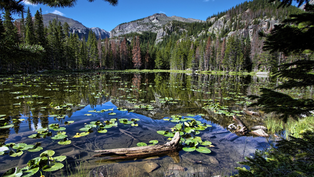 Горная запруда