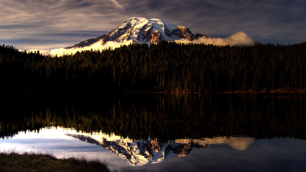 Горы за лесом