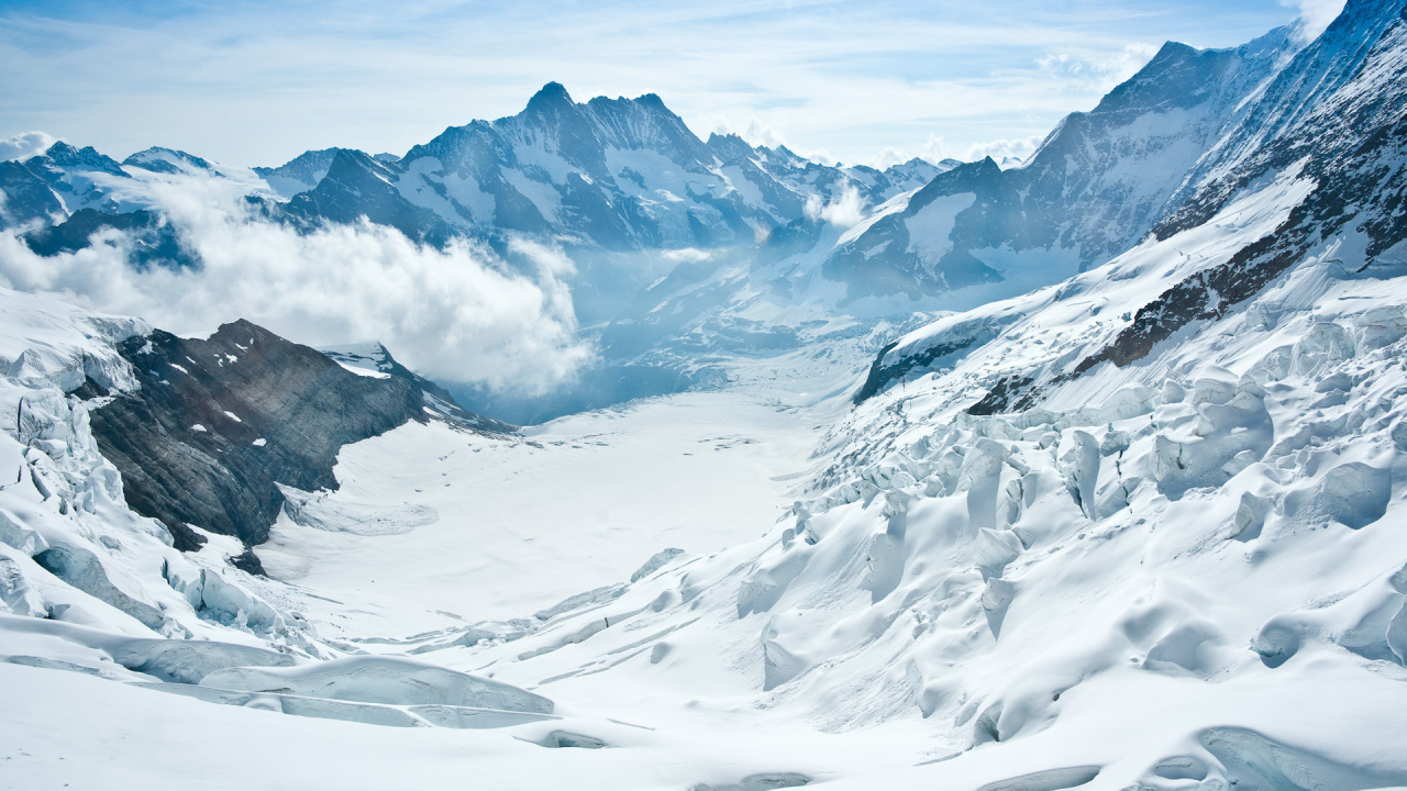 Снежные вершины