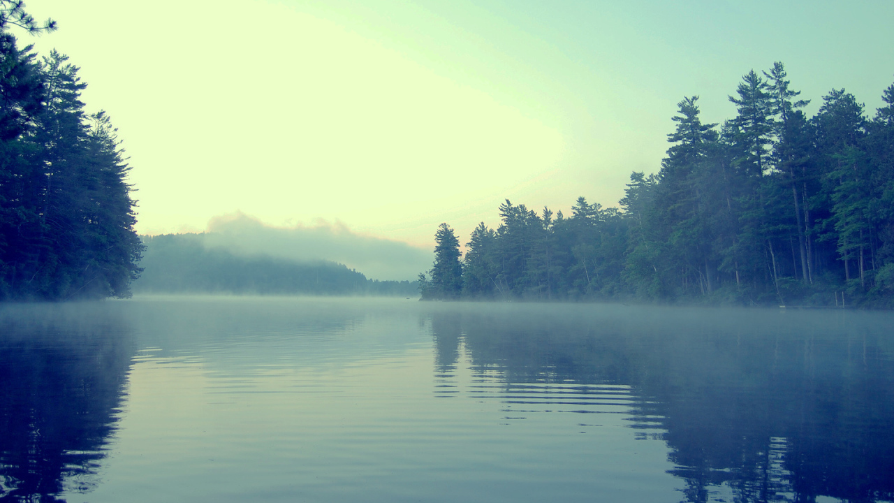 Туман в сумерках