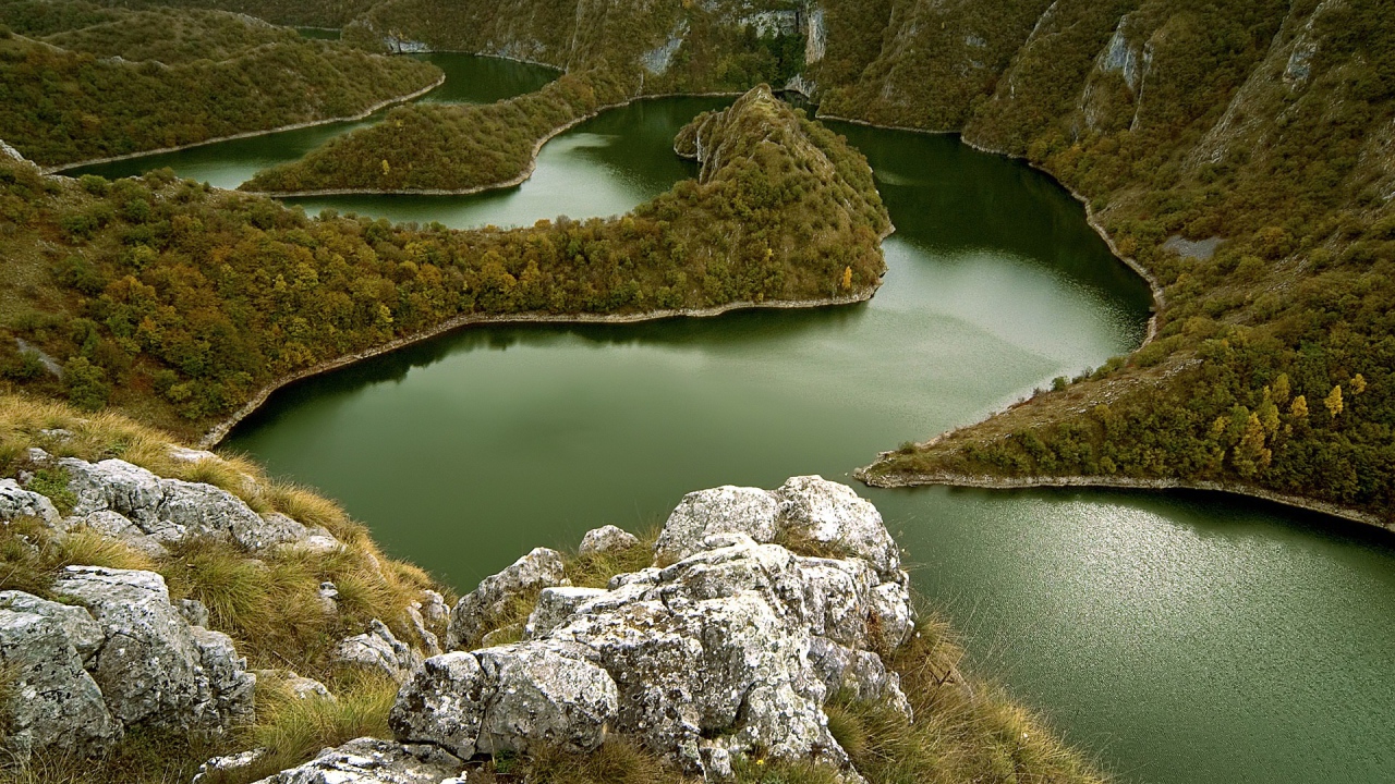 Извилистая река