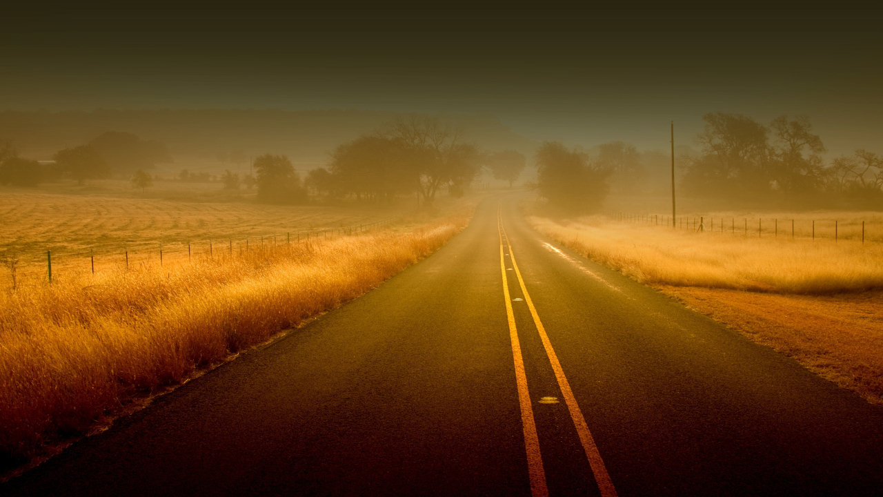 Дорога вперед