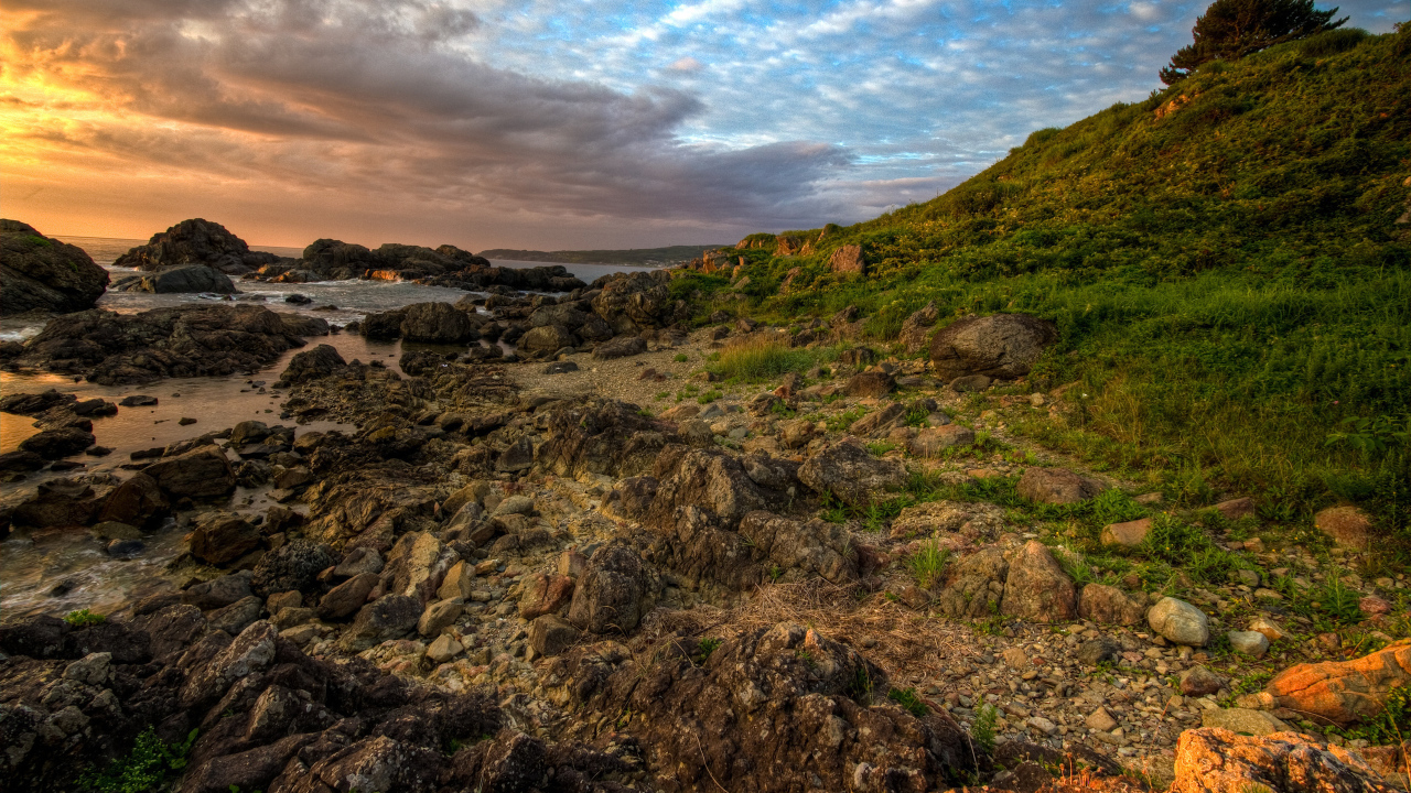 Каменистый берег