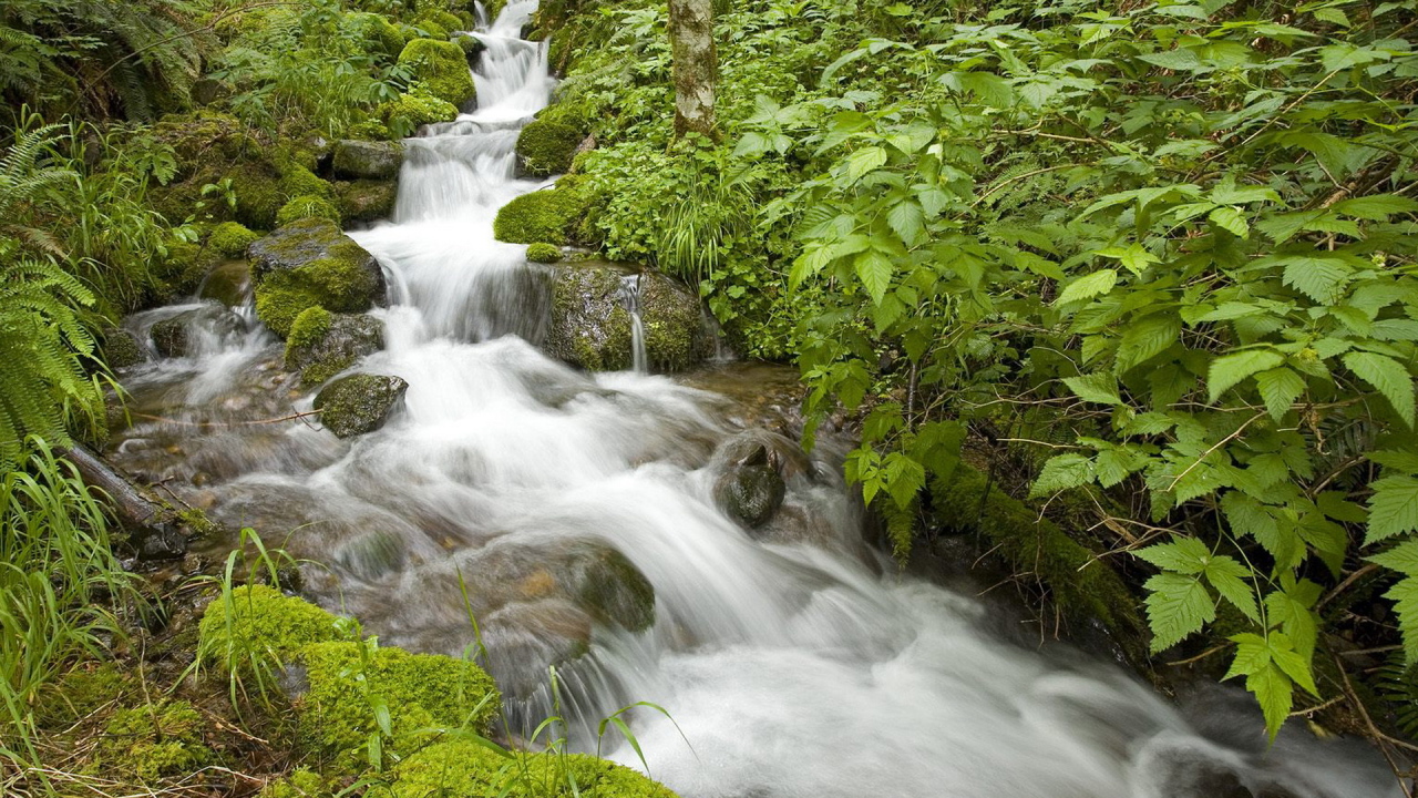 Маленький ручей