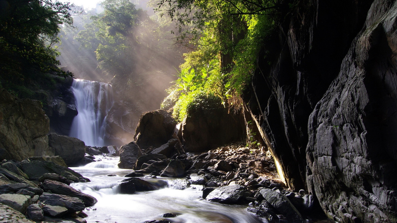 Ручей, лес, камни