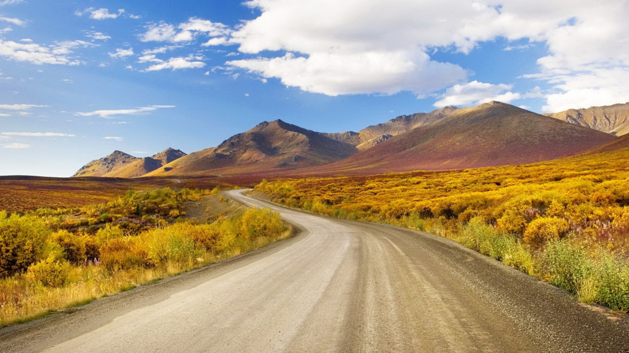 Извилистая дорога