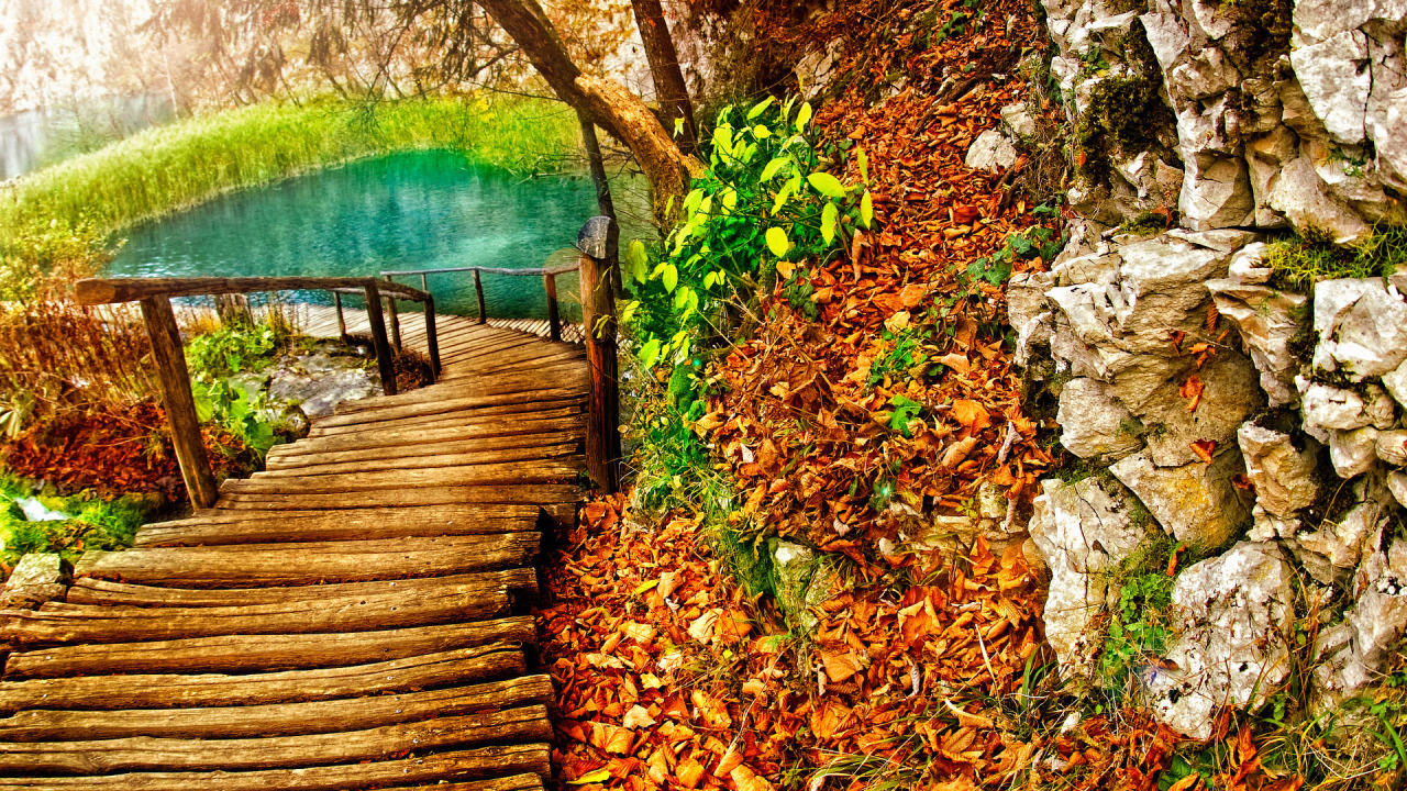 Дорожка к озеру