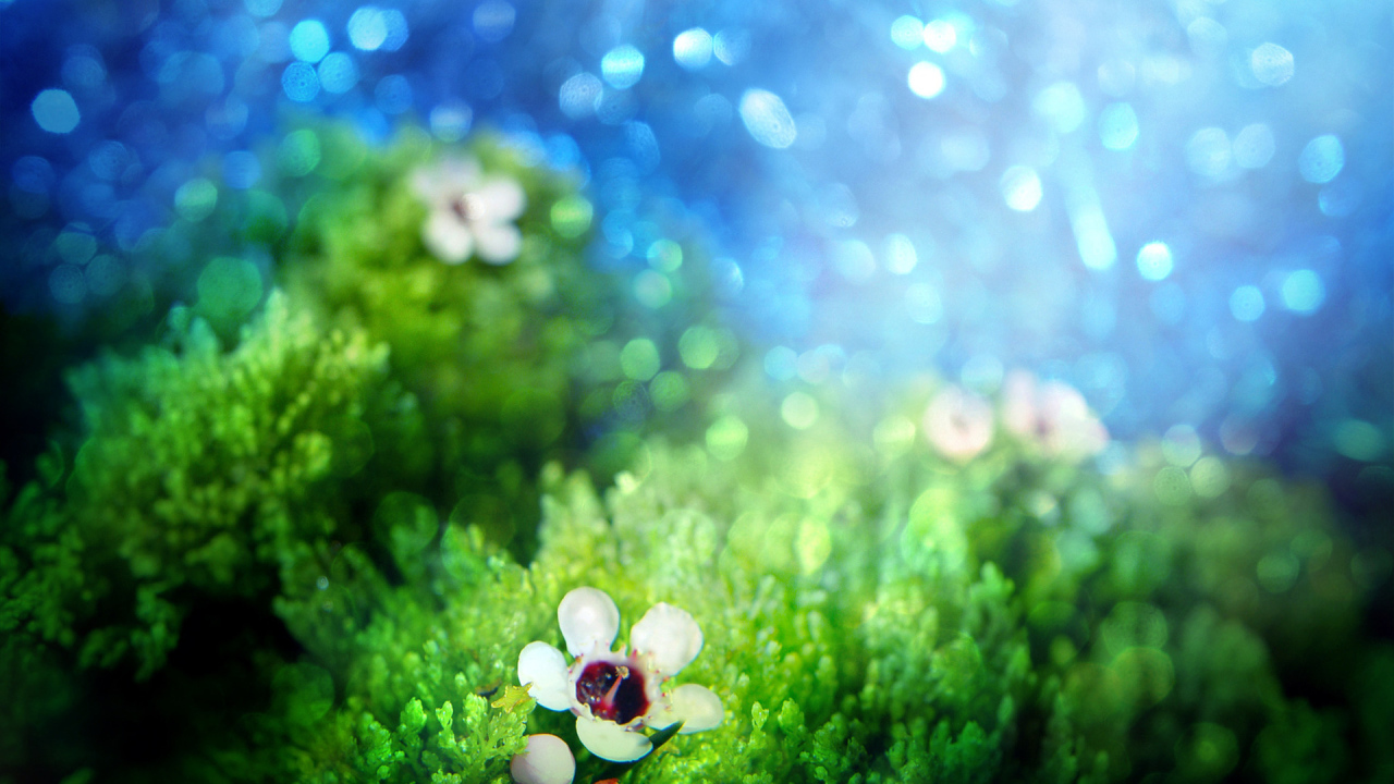 Зеленая трава