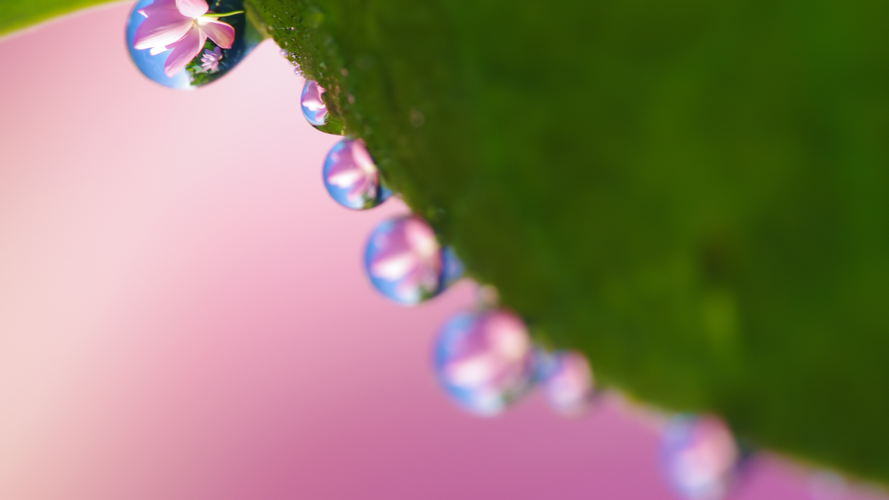 Рабочие обои весна