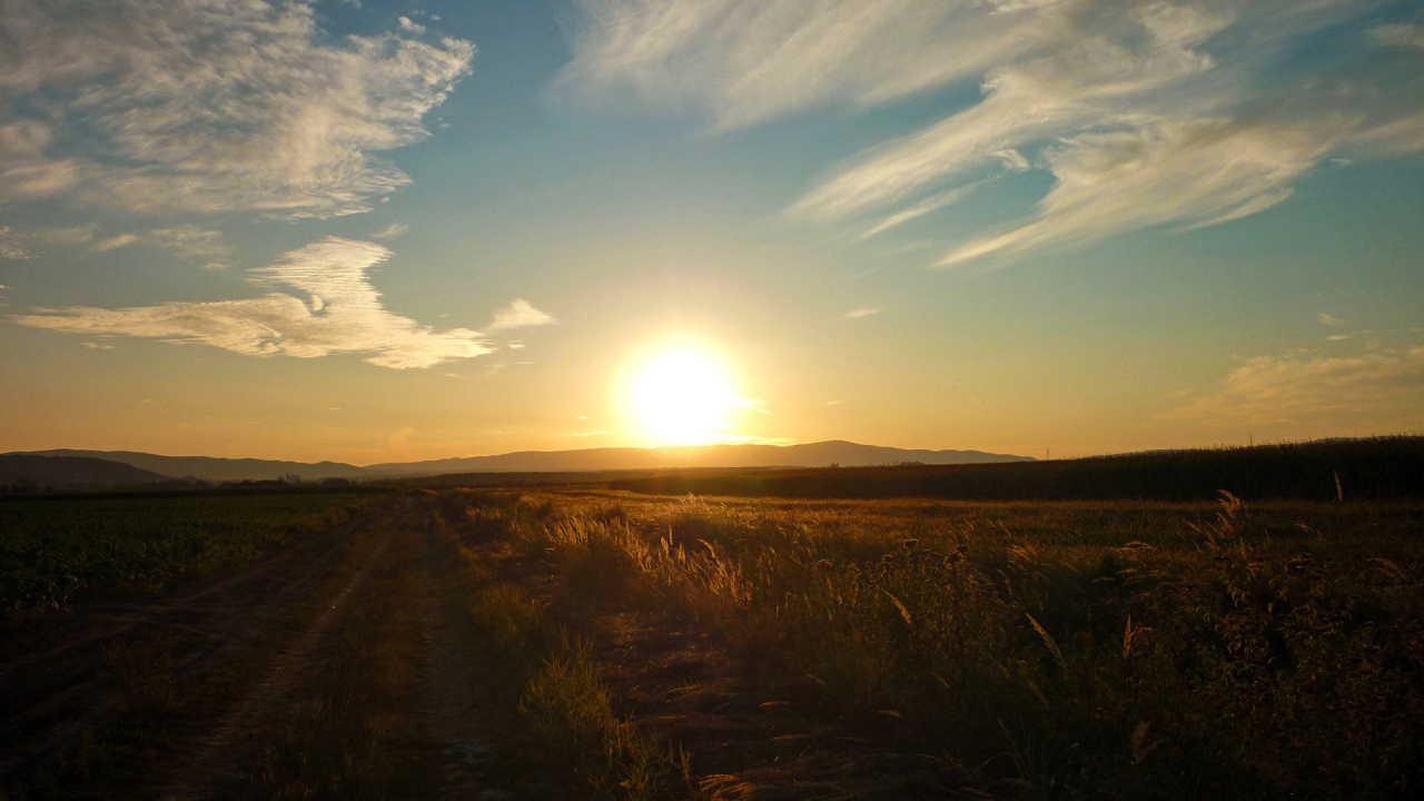 Закат в поле