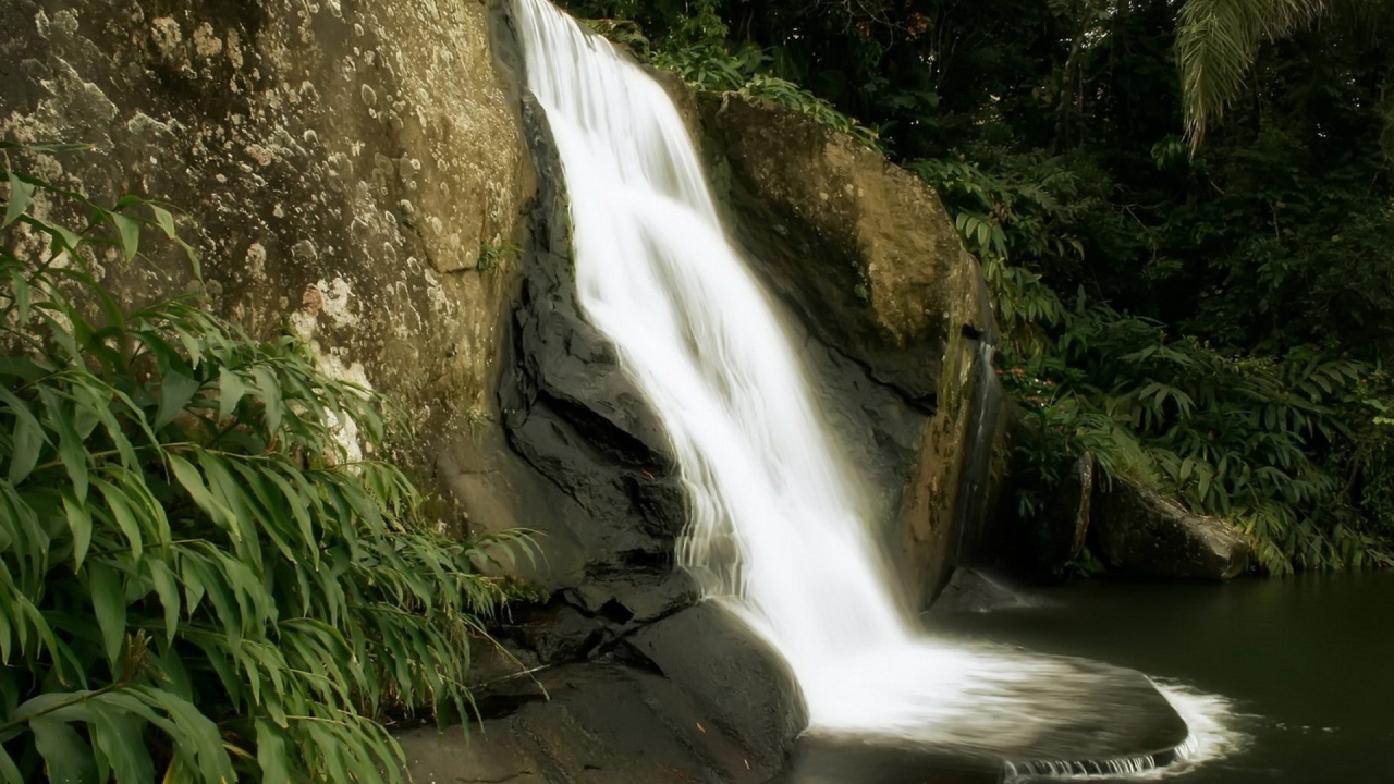 Маленький лесной водопад