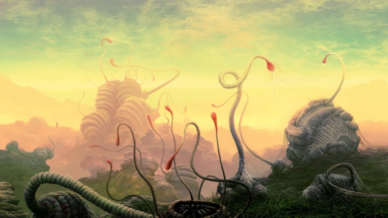 Сезон размножения