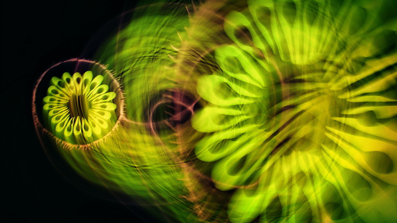 Зеленая абстракция