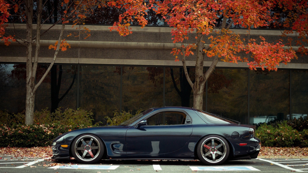 Синий Porsche 2012