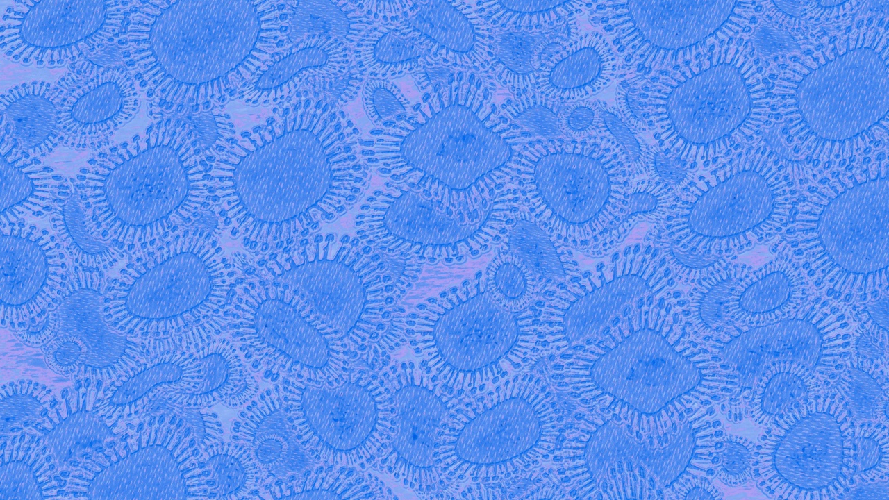 Вирусный фон