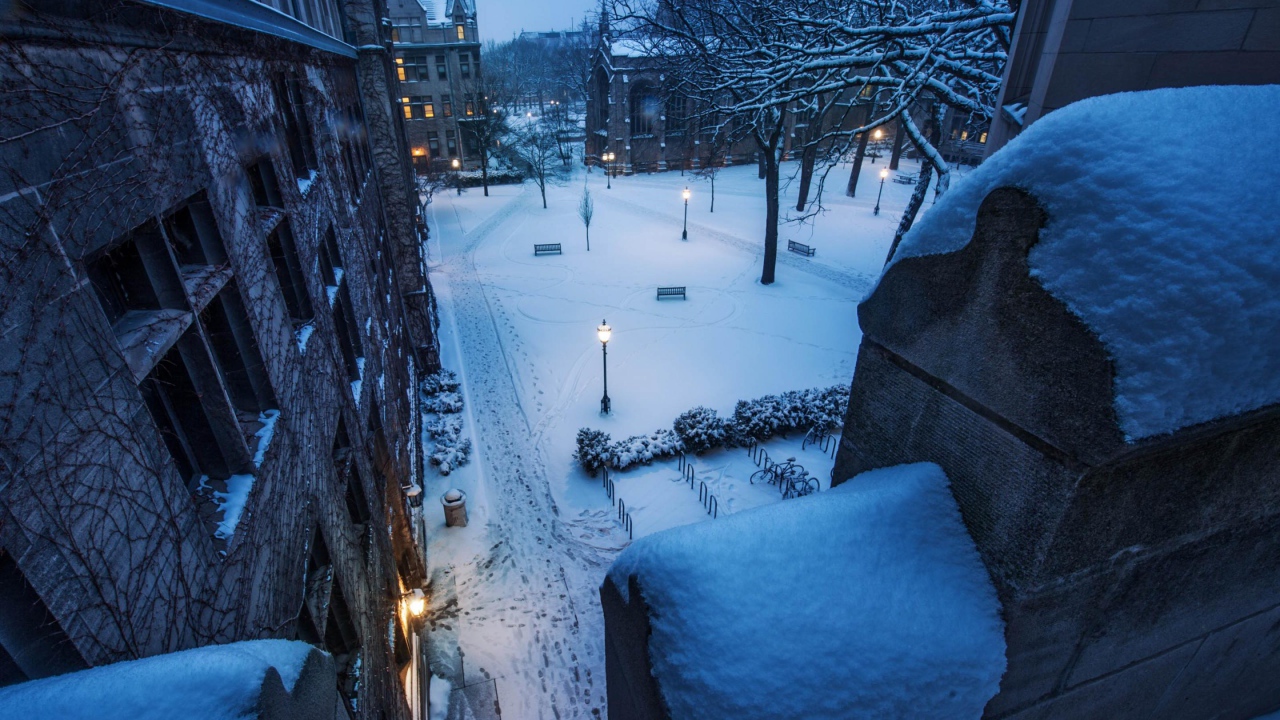 Заснеженная улица