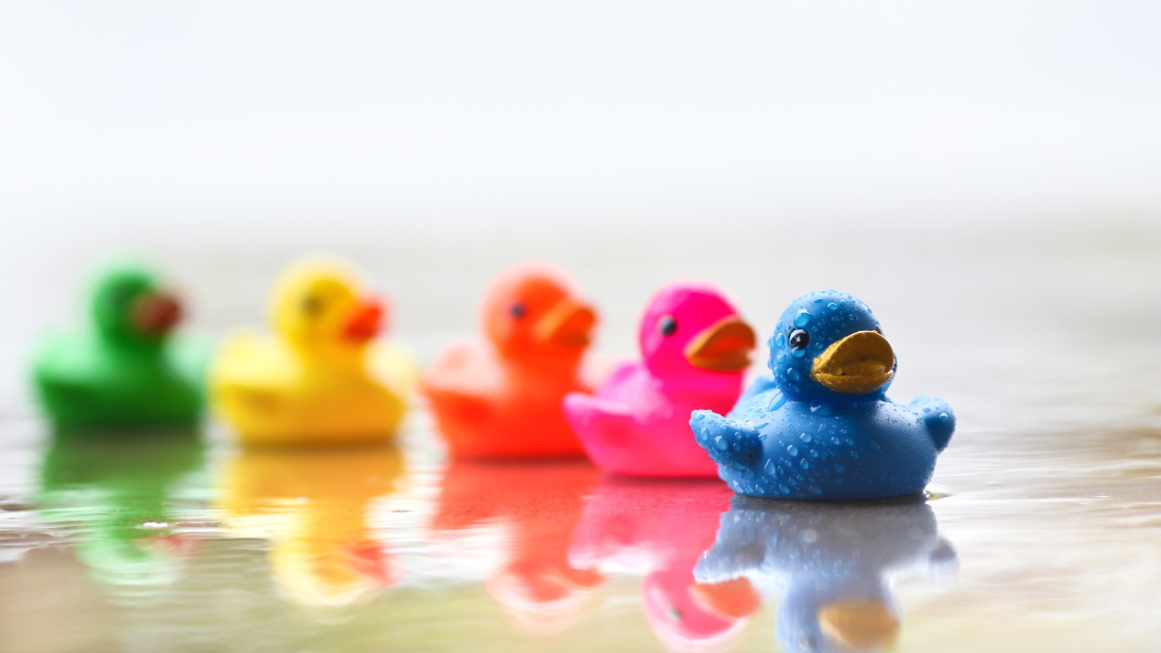 Разноцветные уточки