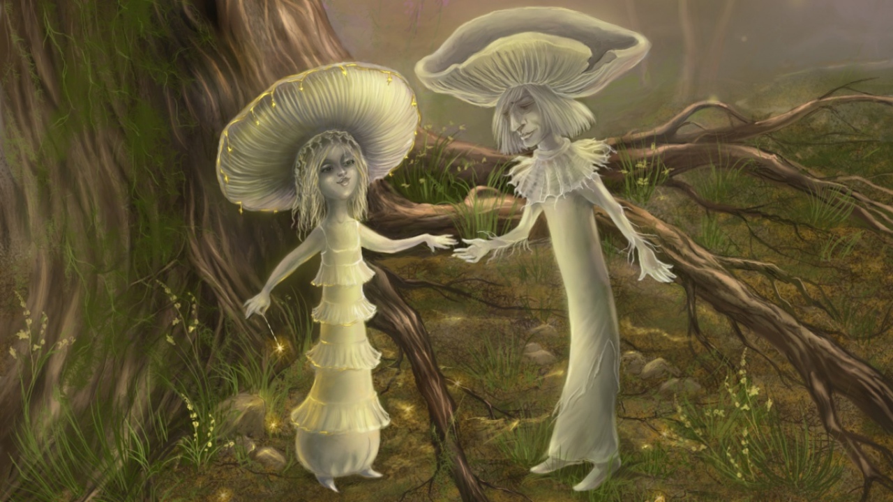 Волшебные грибы