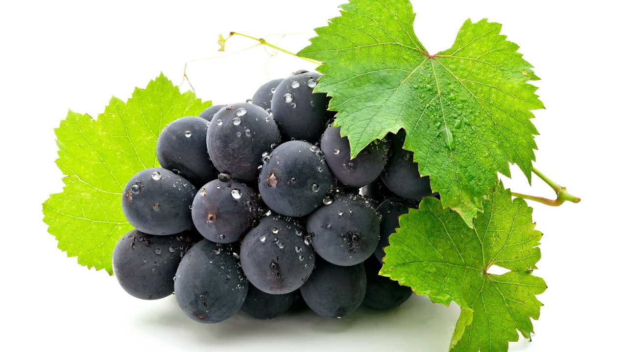 Виноградная кисть