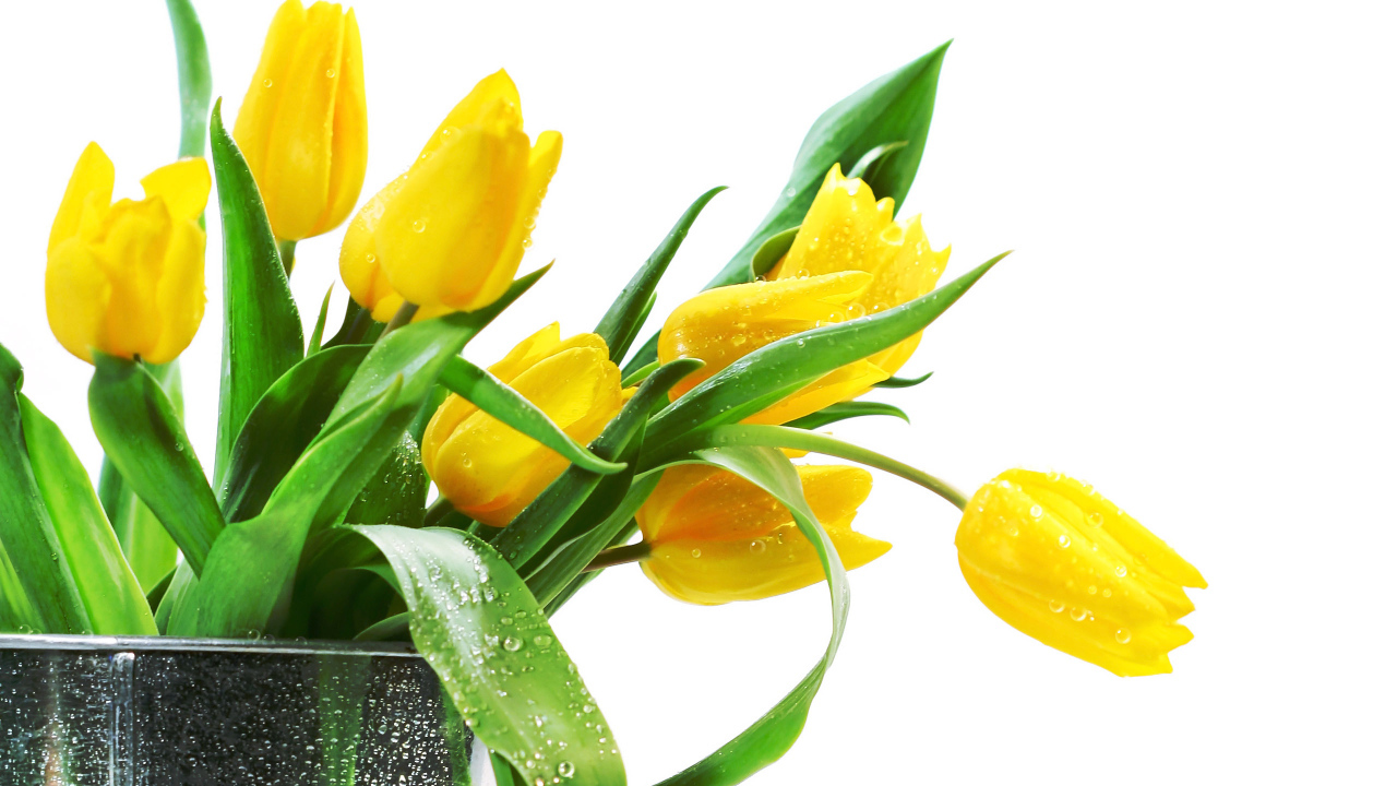 Желтые тюльпаны в вазе