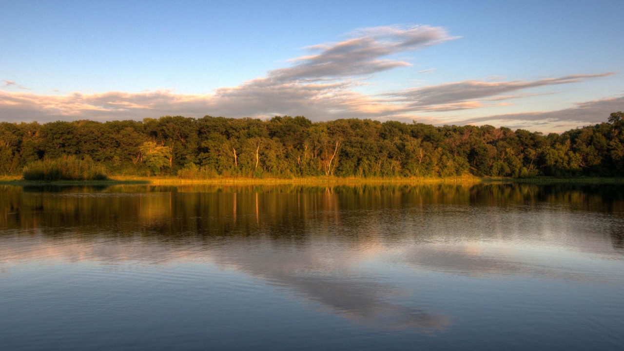 Озеро у леса