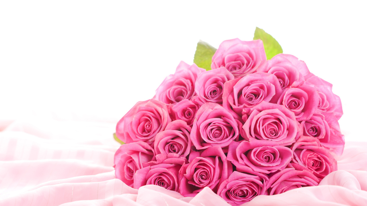 Розовые розы