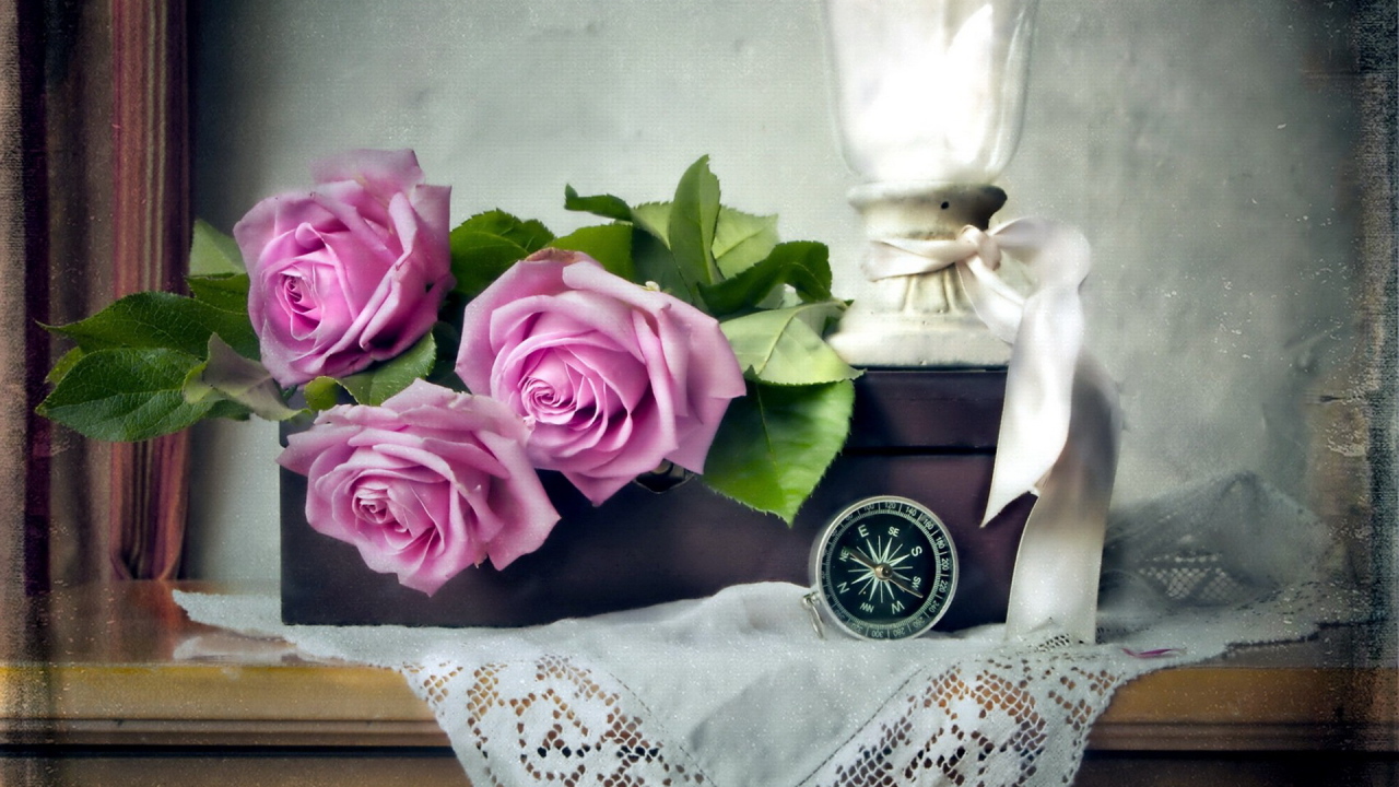 Лиловые розы