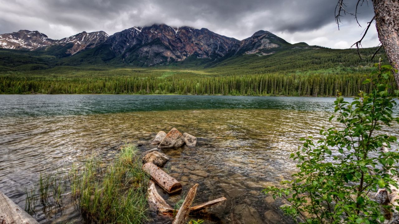 Каменистая река