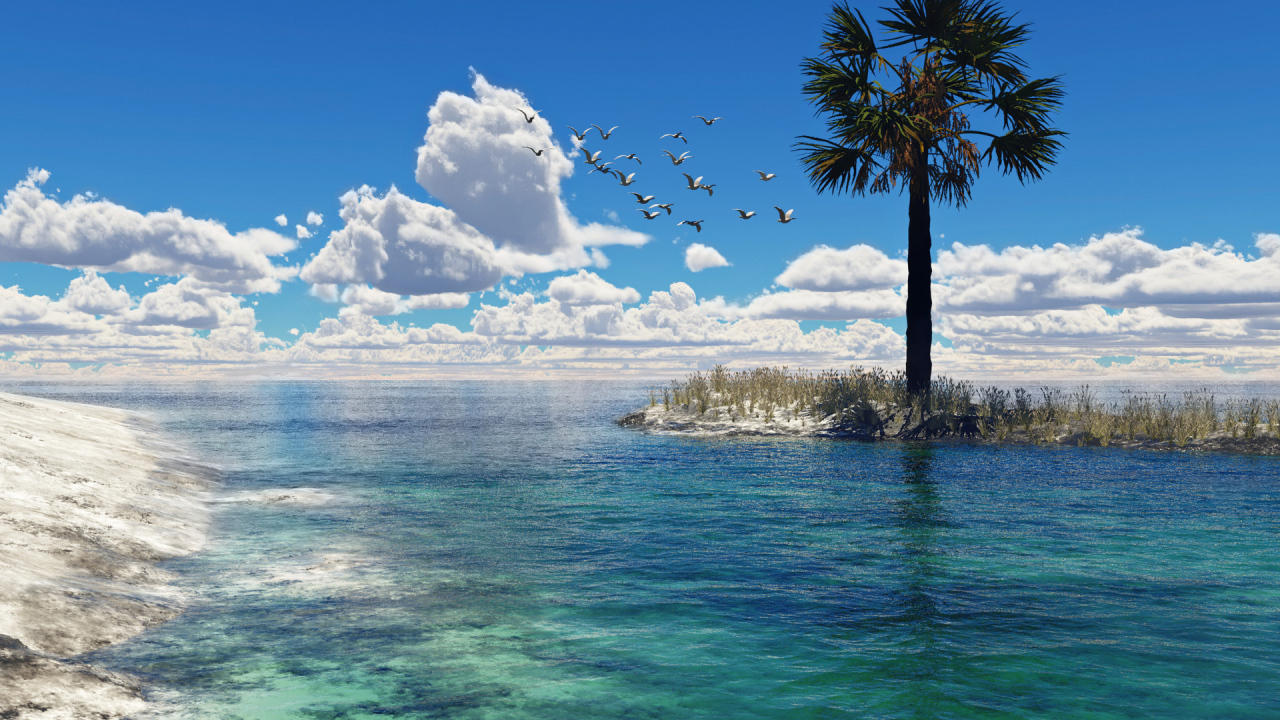 Чайки над морем