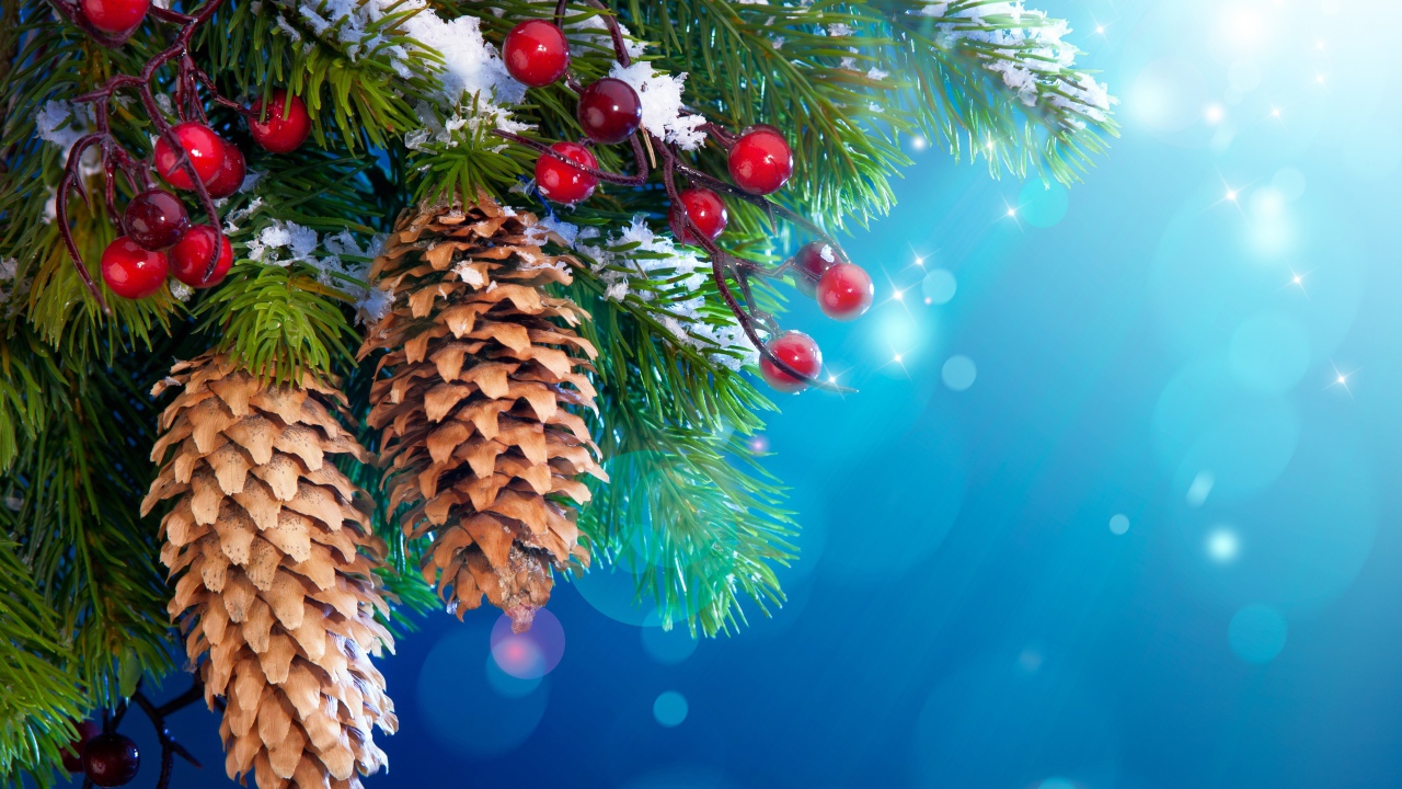 Ягоды и шишки на елке