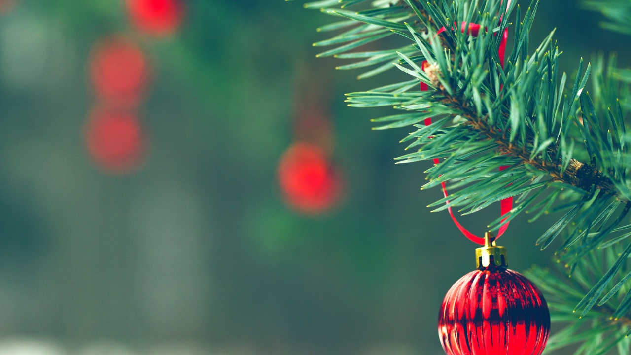 Красный шар на елке