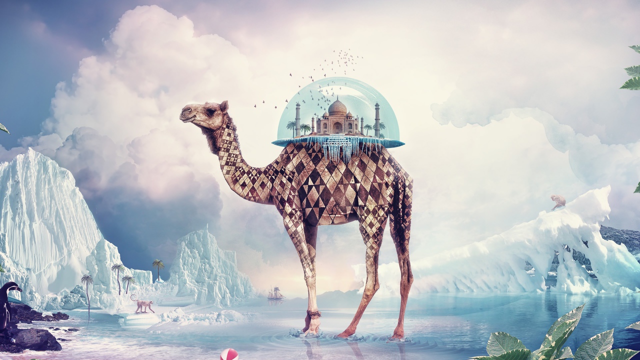 Необычный верблюд