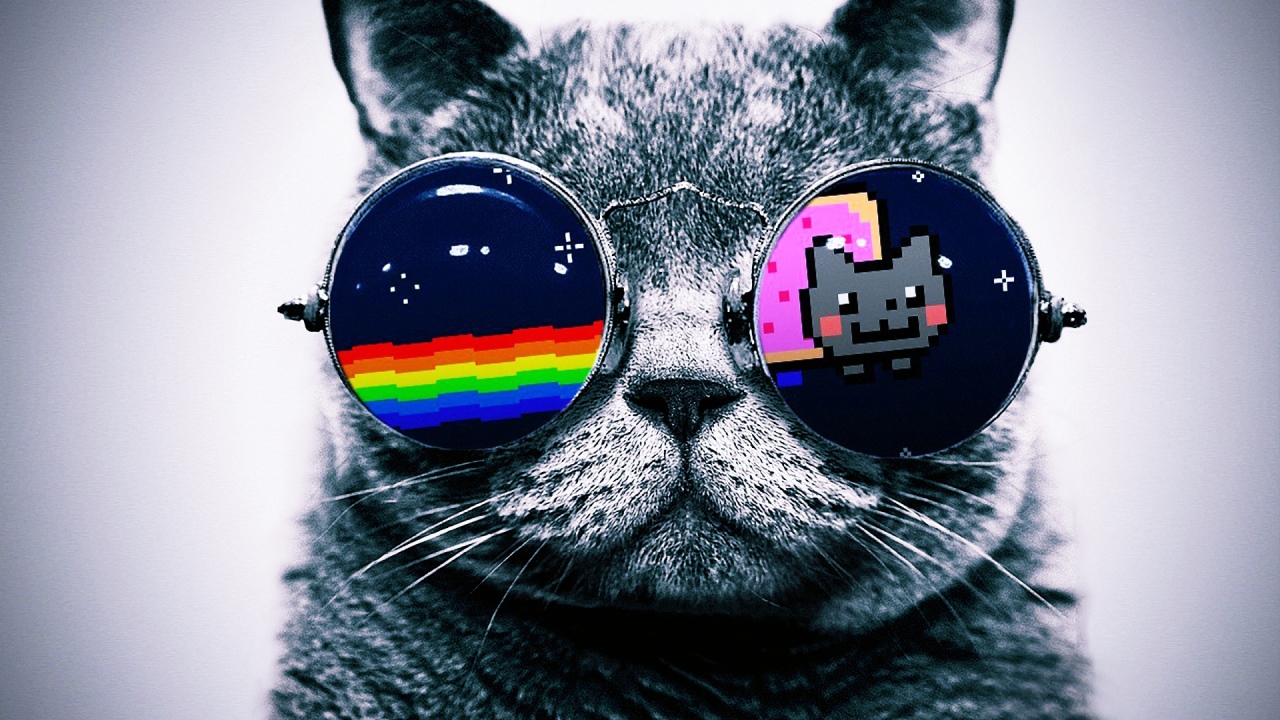 Кот в очках Hello Kitty