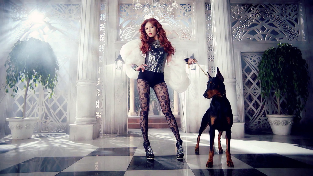 Поп-звезда и доберман