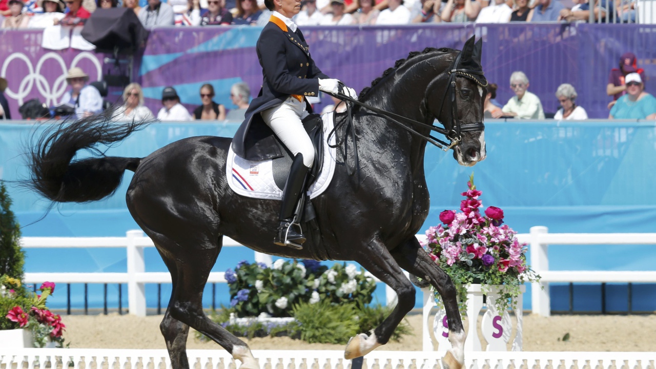 Всадник на лошади